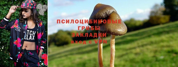 mix Белокуриха