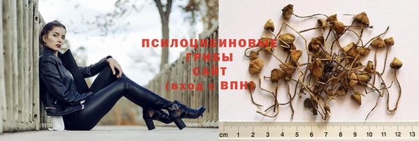 mix Белокуриха