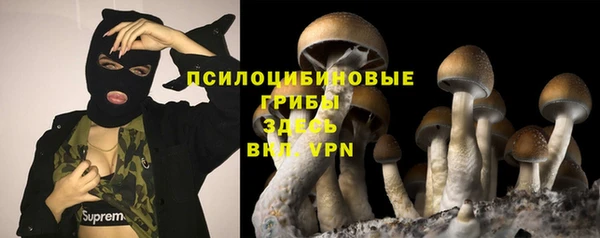 mix Белокуриха