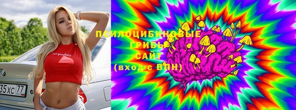 2c-b Беломорск