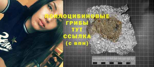 mix Белокуриха
