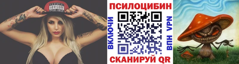 Псилоцибиновые грибы Psilocybine cubensis  Высоцк 